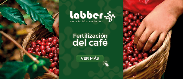 Banner de fertilizantes de café