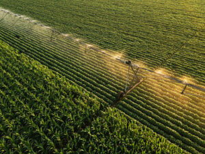 fertilizantes-en-colombia