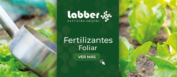 fertilizantes-foliar