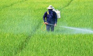 fertilizantes-en-colombia