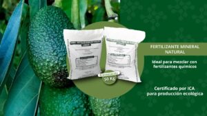 fertilizantes-para-aguacate