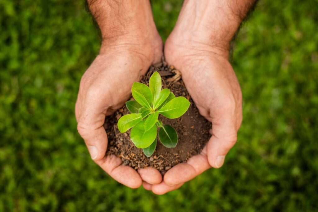 Beneficios de la agricultura sostenible