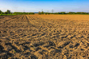 suelo-en-la-produccion-agricola